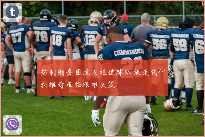 热刺财务困境或迫使球队放走武什科维奇面临艰难决策